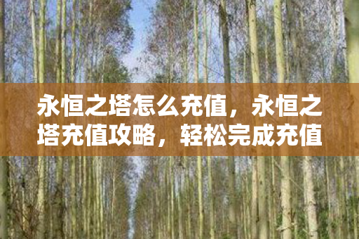 永恒之塔怎么充值图片