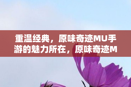 重温经典,原味奇迹MU手游的魅力所在,原味奇迹MU手游,重温经典,感受独特魅力 重温经典,原味奇迹MU手游的魅力所在,原味奇迹MU手游,重温经典,感受独特魅力