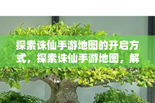 探索诛仙手游地图的开启方式图片