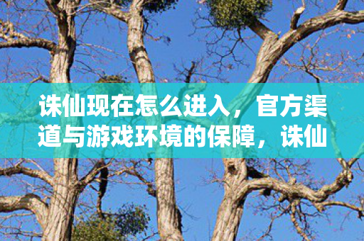 官方渠道与游戏环境的保障图片