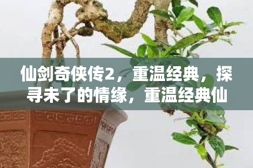 仙剑奇侠传2,重温经典,探寻未了的情缘,重温经典仙剑奇侠传2,探寻未了的情缘 仙剑奇侠传2,重温经典,探寻未了的情缘,重温经典仙剑奇侠传2,探寻未了的情缘