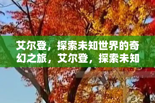 艾尔登,探索未知世界的奇幻之旅,艾尔登,探索未知世界的奇幻之旅 艾尔登,探索未知世界的奇幻之旅,艾尔登,探索未知世界的奇幻之旅