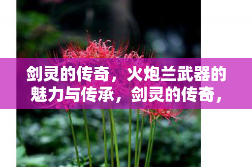 剑灵的传奇，火炮兰武器的魅力与传承，剑灵的传奇，火炮兰武器的魅力与传承
