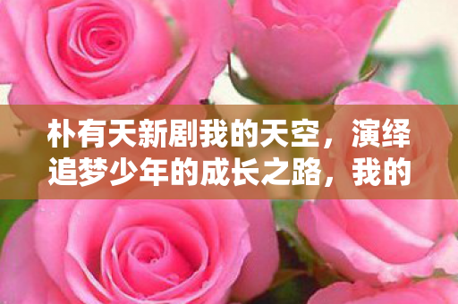 朴有天新剧我的天空,演绎追梦少年的成长之路,我的天空朴有天演绎追梦少年的成长之路 朴有天新剧我的天空,演绎追梦少年的成长之路,我的天空朴有天演绎追梦少年的成长之路