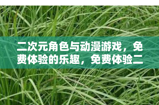 二次元角色与动漫游戏,免费体验的乐趣,免费体验二次元角色与动漫游戏的乐趣 二次元角色与动漫游戏,免费体验的乐趣,免费体验二次元角色与动漫游戏的乐趣