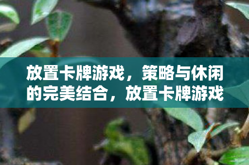 放置卡牌游戏,策略与休闲的完美结合,放置卡牌游戏,策略与休闲的完美结合 放置卡牌游戏,策略与休闲的完美结合,放置卡牌游戏,策略与休闲的完美结合