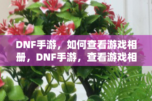 DNF手游,如何查看游戏相册,DNF手游,查看游戏相册的详细步骤 DNF手游,如何查看游戏相册,DNF手游,查看游戏相册的详细步骤
