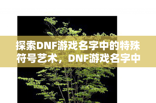 探索DNF游戏名字中的特殊符号艺术图片