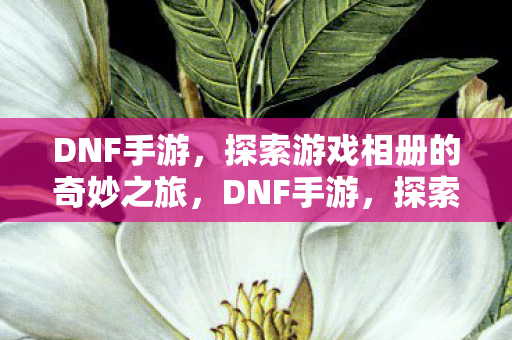 DNF手游,探索游戏相册的奇妙之旅,DNF手游,探索游戏相册的奇妙之旅 DNF手游,探索游戏相册的奇妙之旅,DNF手游,探索游戏相册的奇妙之旅