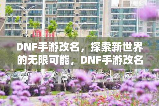 DNF手游改名,探索新世界的无限可能,DNF手游改名,开启新世界之旅 DNF手游改名,探索新世界的无限可能,DNF手游改名,开启新世界之旅