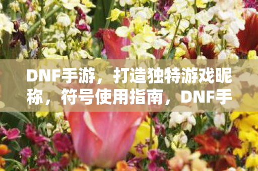 DNF手游,打造独特游戏昵称,符号使用指南,DNF手游,打造独特游戏昵称,符号使用全攻略 DNF手游,打造独特游戏昵称,符号使用指南,DNF手游,打造独特游戏昵称,符号使用全攻略