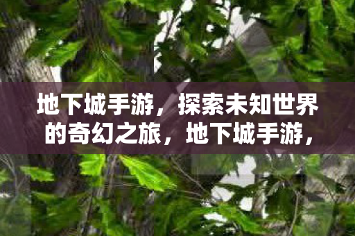 地下城手游,探索未知世界的奇幻之旅,地下城手游,探索未知世界的奇幻之旅 地下城手游,探索未知世界的奇幻之旅,地下城手游,探索未知世界的奇幻之旅