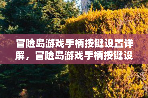 冒险岛游戏手柄按键设置详解,冒险岛游戏手柄按键设置全解析 冒险岛游戏手柄按键设置详解,冒险岛游戏手柄按键设置全解析