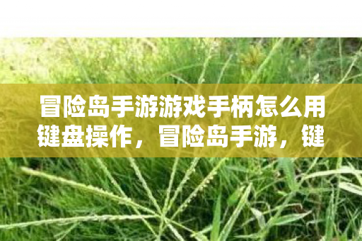 冒险岛手游游戏手柄怎么用键盘操作图片
