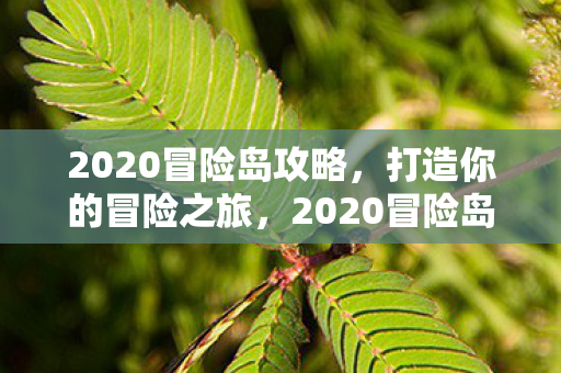 2020冒险岛攻略,打造你的冒险之旅,2020冒险岛攻略,打造你的专属冒险之旅 2020冒险岛攻略,打造你的冒险之旅,2020冒险岛攻略,打造你的专属冒险之旅