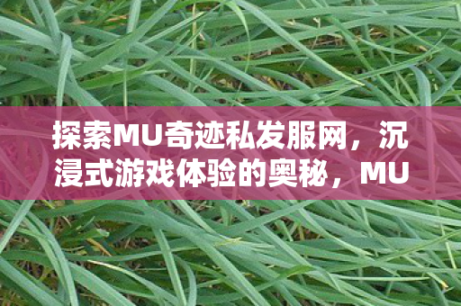 探索MU奇迹私发服网，沉浸式游戏体验的奥秘，MU奇迹私发服网，揭秘沉浸式游戏体验的奥秘