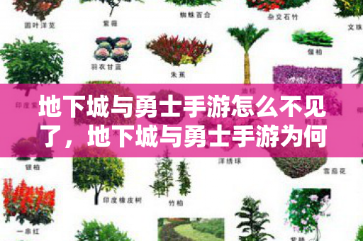 地下城与勇士手游为何突然消失图片