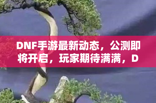 DNF手游最新动态图片