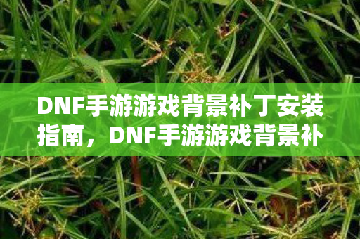 DNF手游游戏背景补丁安装全攻略图片