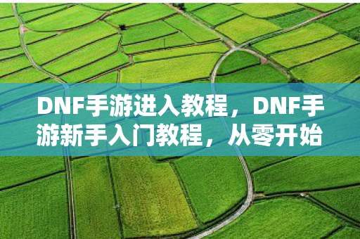 DNF手游新手入门教程图片