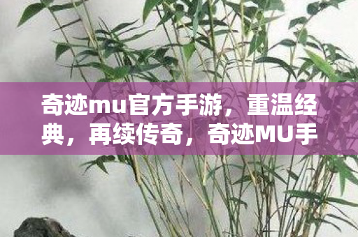 奇迹mu官方手游，重温经典，再续传奇，奇迹MU手游，重温经典，续写传奇之旅