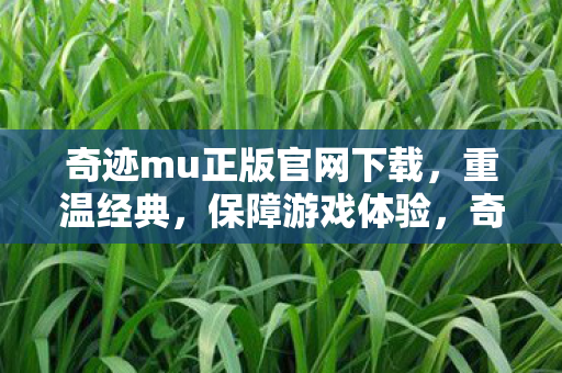 奇迹mu正版官网下载,重温经典,保障游戏体验,奇迹MU正版官网,重温经典,保障游戏体验 奇迹mu正版官网下载,重温经典,保障游戏体验,奇迹MU正版官网,重温经典,保障游戏体验