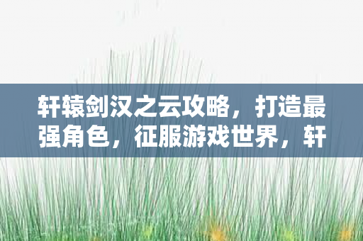 轩辕剑汉之云攻略,打造最强角色,征服游戏世界,轩辕剑汉之云,打造最强角色,征服游戏世界攻略 轩辕剑汉之云攻略,打造最强角色,征服游戏世界,轩辕剑汉之云,打造最强角色,征服游戏世界攻略