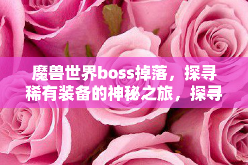 魔兽世界boss掉落，探寻稀有装备的神秘之旅，探寻稀有装备，揭秘魔兽世界boss掉落之旅