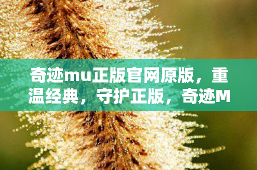 奇迹mu正版官网原版,重温经典,守护正版,奇迹MU正版官网,重温经典,守护正版奇迹 奇迹mu正版官网原版,重温经典,守护正版,奇迹MU正版官网,重温经典,守护正版奇迹