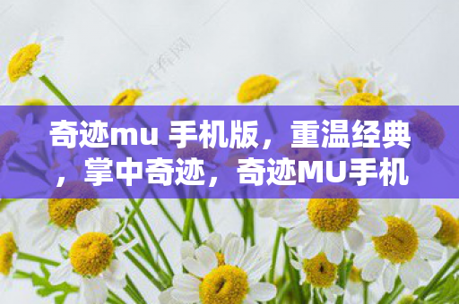 奇迹mu 手机版图片