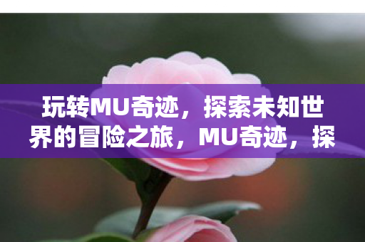玩转MU奇迹,探索未知世界的冒险之旅,MU奇迹,探索未知世界的冒险之旅 玩转MU奇迹,探索未知世界的冒险之旅,MU奇迹,探索未知世界的冒险之旅