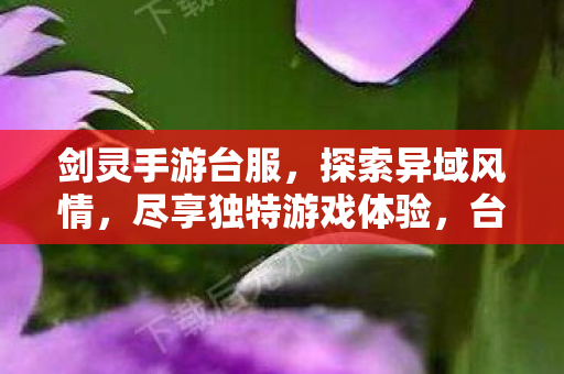 异域风情与独特游戏体验等你来探索图片