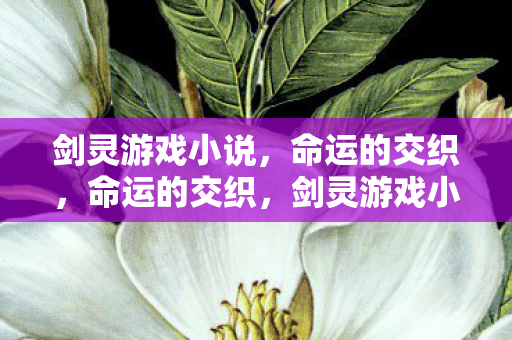 剑灵游戏小说图片