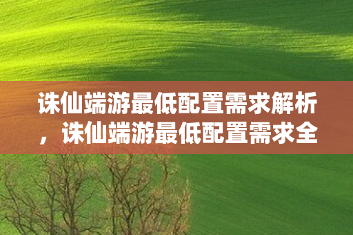 诛仙端游最低配置需求解析，诛仙端游最低配置需求全解析