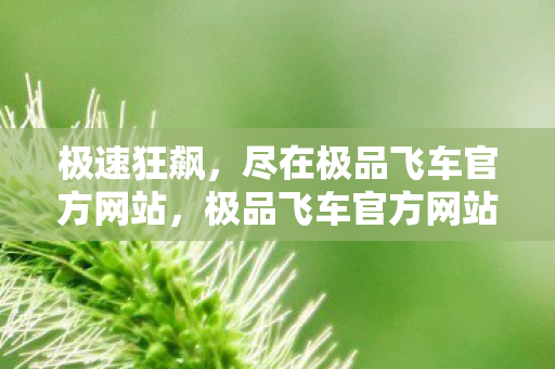 极速狂飙,尽在极品飞车官方网站,极品飞车官方网站,极速狂飙,畅享驾驶盛宴 极速狂飙,尽在极品飞车官方网站,极品飞车官方网站,极速狂飙,畅享驾驶盛宴