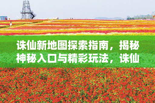 揭秘神秘入口与精彩玩法图片