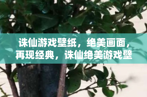 诛仙绝美游戏壁纸图片