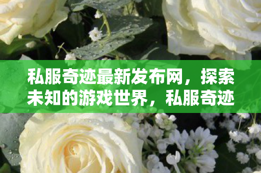 私服奇迹最新发布网，探索未知的游戏世界，私服奇迹最新发布网，探索未知游戏世界的奇妙之旅