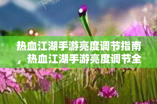 热血江湖手游亮度调节全攻略图片