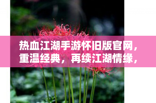 热血江湖手游怀旧版官网图片