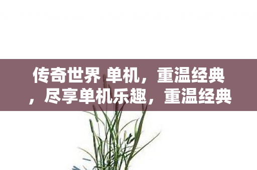 传奇世界 单机,重温经典,尽享单机乐趣,重温经典,传奇世界单机版尽享单机乐趣 传奇世界 单机,重温经典,尽享单机乐趣,重温经典,传奇世界单机版尽享单机乐趣