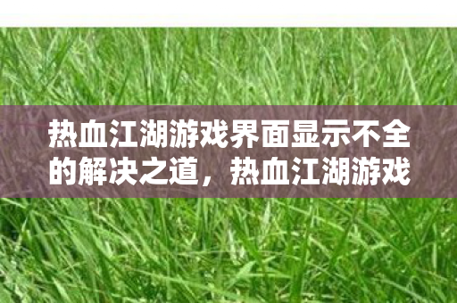 热血江湖游戏界面显示不全的解决之道图片