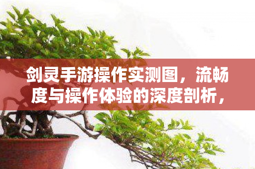 流畅度与操作体验的深度剖析图片