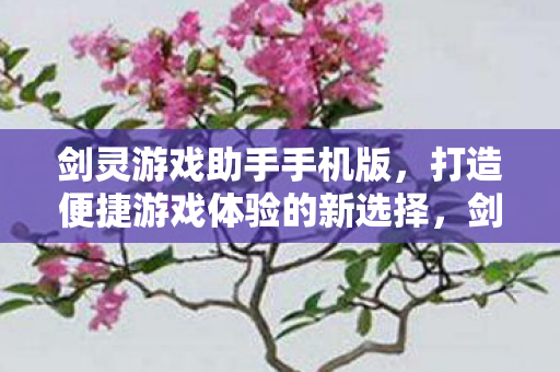 打造便捷游戏体验的新选择图片