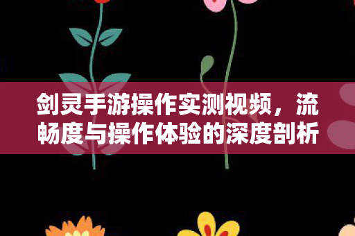 流畅度与操作体验的深度剖析图片