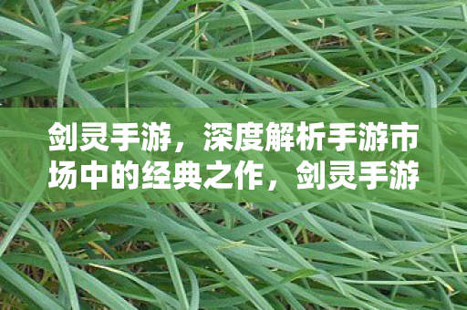 深度解析手游市场中的经典之作图片