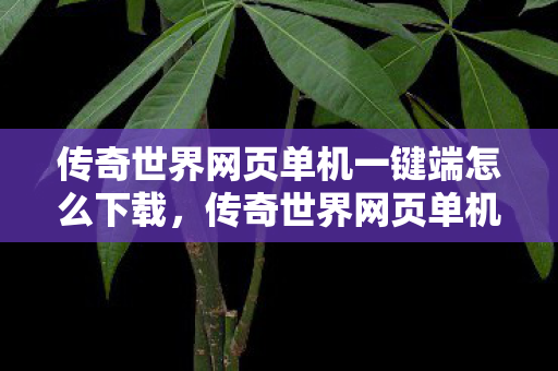 传奇世界网页单机一键端怎么下载,传奇世界网页单机一键端下载指南 传奇世界网页单机一键端怎么下载,传奇世界网页单机一键端下载指南