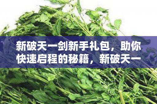 新破天一剑新手礼包图片