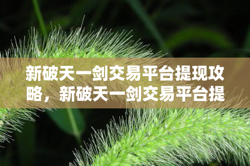 新破天一剑交易平台提现全攻略图片