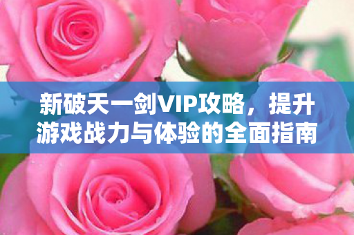 提升游戏战力与体验的全面指南图片